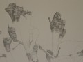P1010159 - Copie